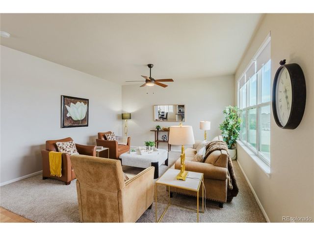 1019 Mount Oxford Ave, Windsor, CO 80550