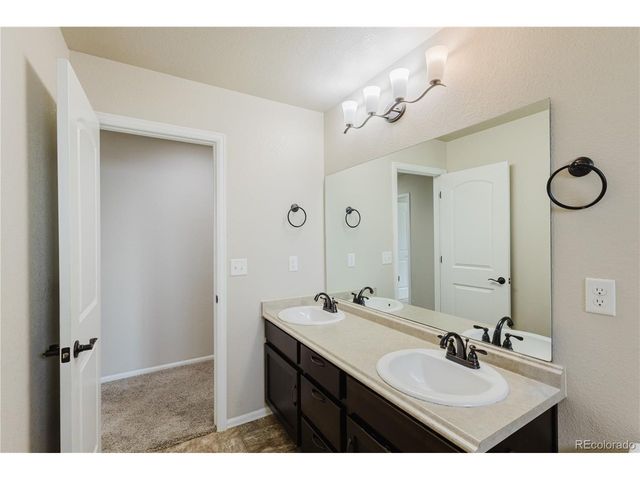 1019 Mount Oxford Ave, Windsor, CO 80550