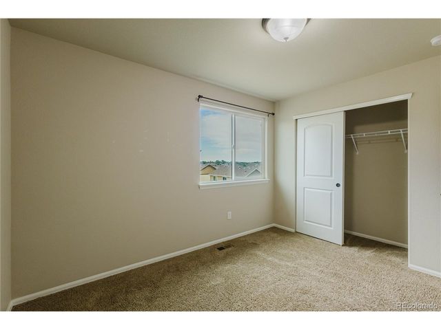 1019 Mount Oxford Ave, Windsor, CO 80550
