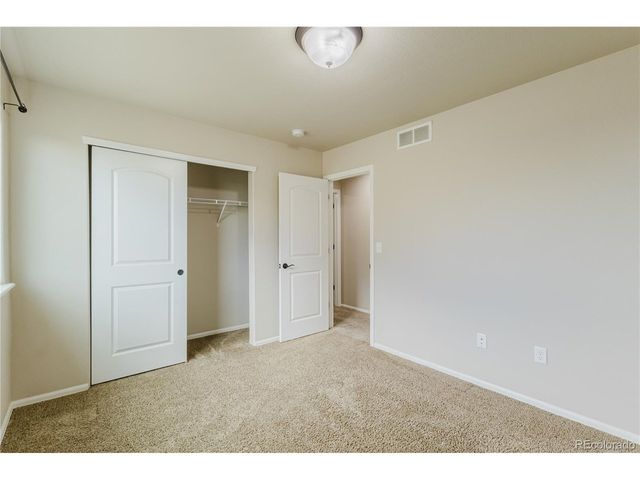 1019 Mount Oxford Ave, Windsor, CO 80550