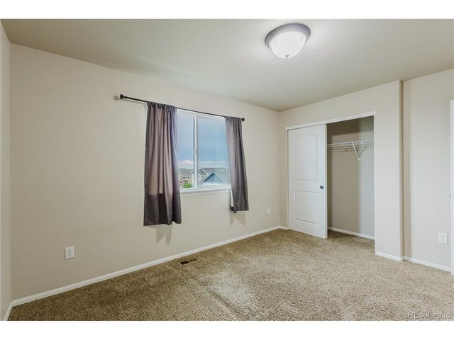 1019 Mount Oxford Ave, Windsor, CO 80550