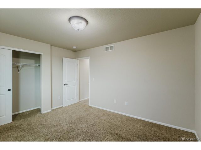 1019 Mount Oxford Ave, Windsor, CO 80550