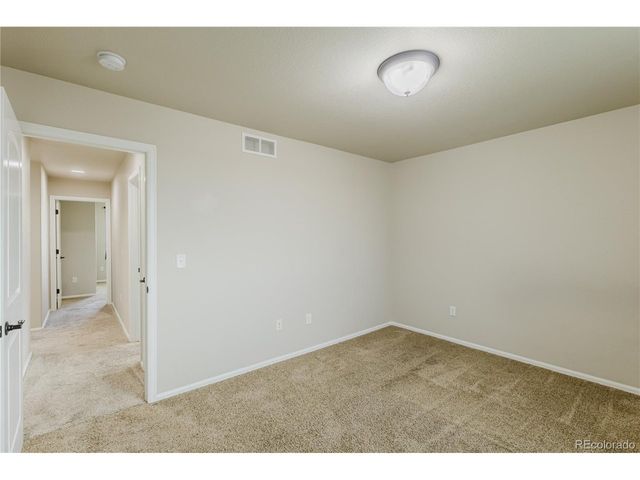 1019 Mount Oxford Ave, Windsor, CO 80550