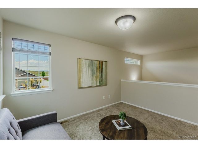 1019 Mount Oxford Ave, Windsor, CO 80550