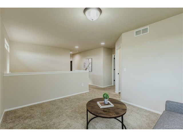 1019 Mount Oxford Ave, Windsor, CO 80550