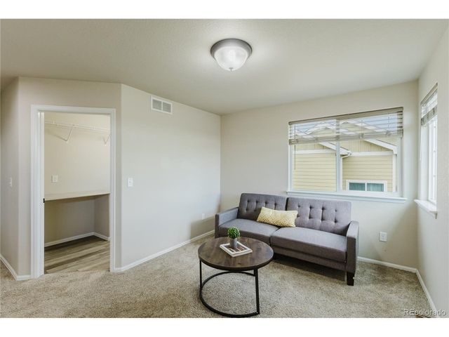 1019 Mount Oxford Ave, Windsor, CO 80550