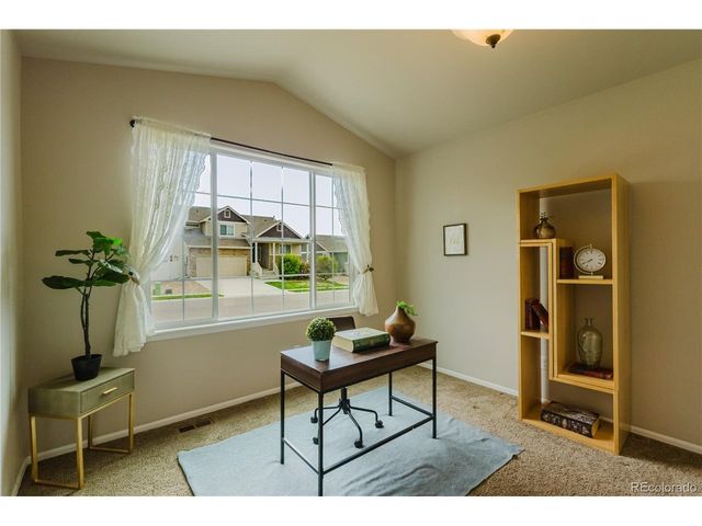 1019 Mount Oxford Ave, Windsor, CO 80550