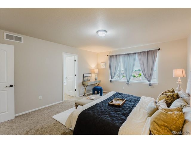 1019 Mount Oxford Ave, Windsor, CO 80550