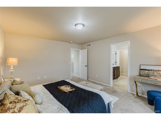 1019 Mount Oxford Ave, Windsor, CO 80550