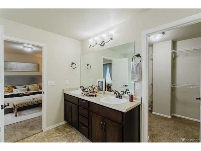 1019 Mount Oxford Ave, Windsor, CO 80550