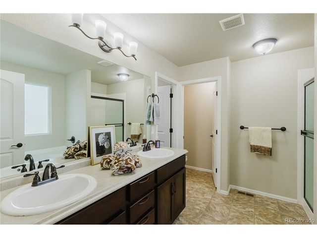 1019 Mount Oxford Ave, Windsor, CO 80550