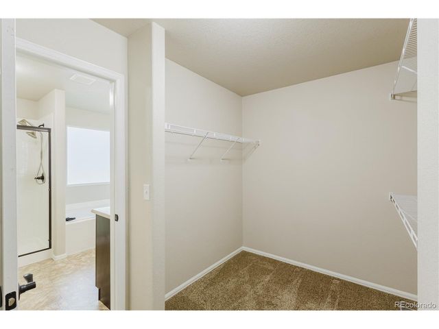 1019 Mount Oxford Ave, Windsor, CO 80550