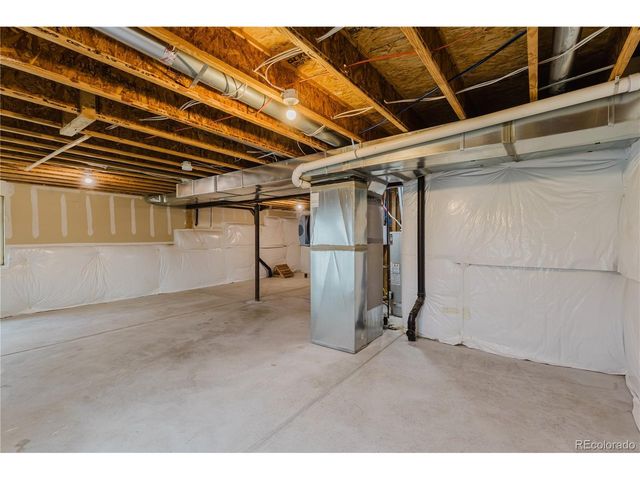 1019 Mount Oxford Ave, Windsor, CO 80550
