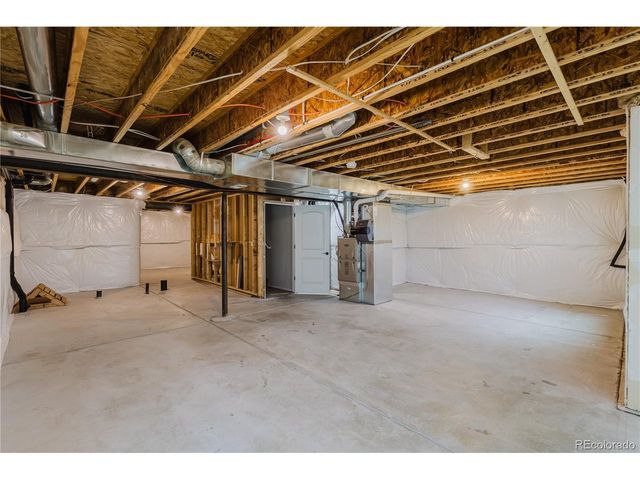 1019 Mount Oxford Ave, Windsor, CO 80550