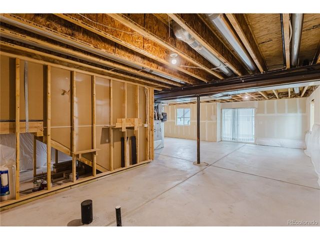 1019 Mount Oxford Ave, Windsor, CO 80550