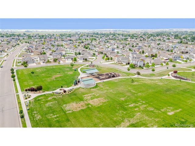 1019 Mount Oxford Ave, Windsor, CO 80550