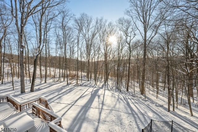 188 Casterline Rd, Denville Twp., NJ 07834