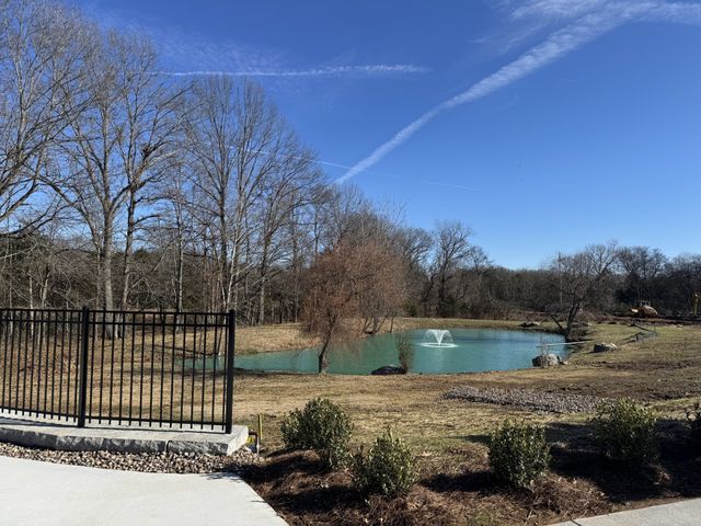 6001 Elliott Court, Arrington, TN 37014