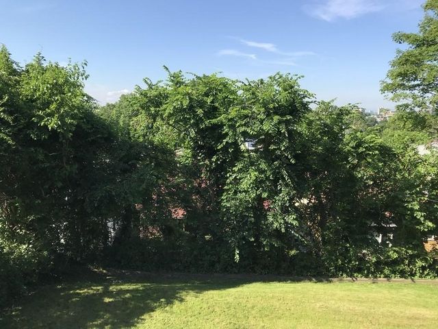 237 Winchester St 1, Brookline, MA 02446