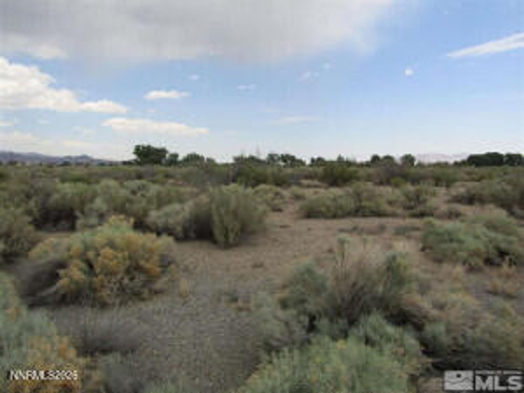 6 Calico Hills Lane 239, Yerington, NV 89447