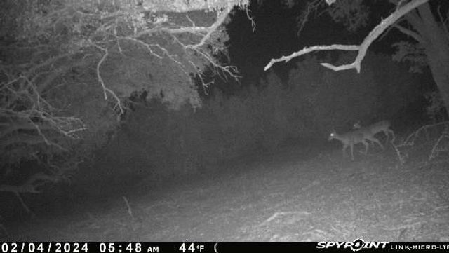 180 Robison RD, Bertram, TX 78605