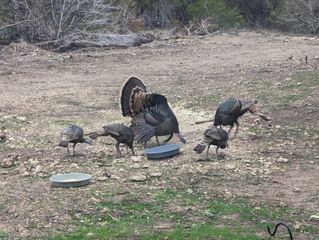 180 Robison RD, Bertram, TX 78605