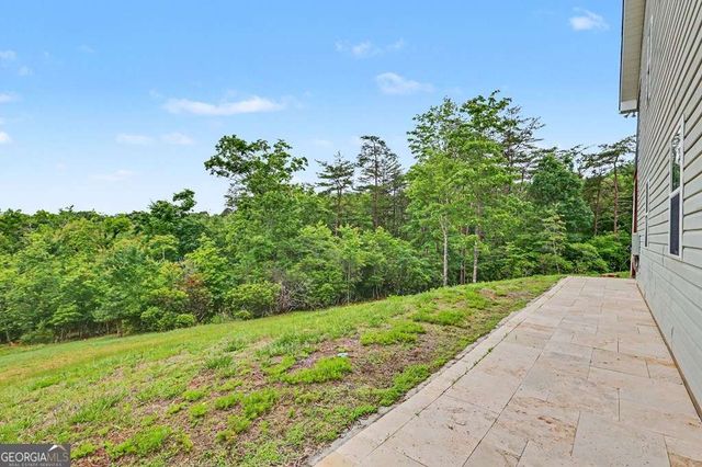 234 Pheasant Trail, Warne, NC 28909