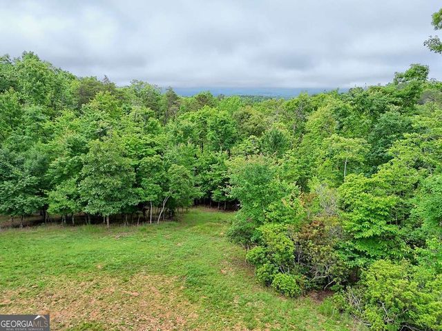 234 Pheasant Trail, Warne, NC 28909