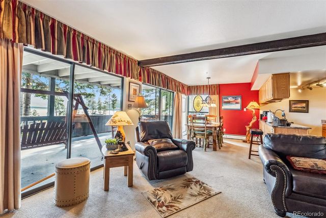 244 Lodgepole Street 11, Dillon, CO 80435