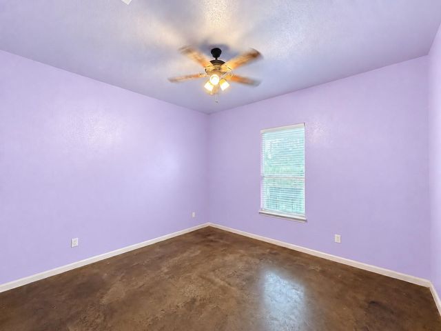 292 Cardinal DR, Paige, TX 78659