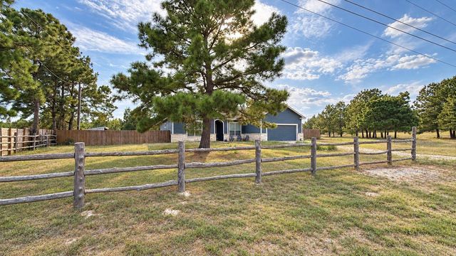 292 Cardinal DR, Paige, TX 78659