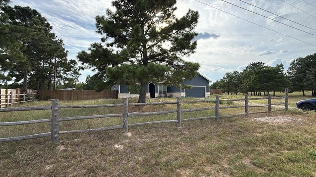 292 Cardinal DR, Paige, TX 78659