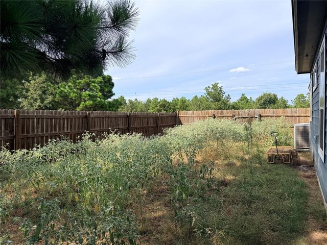 292 Cardinal DR, Paige, TX 78659