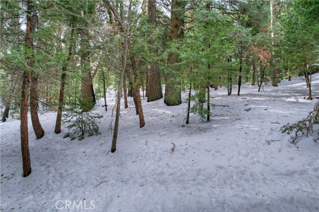 0 Alder Terrace, Cedar Glen, CA 92321