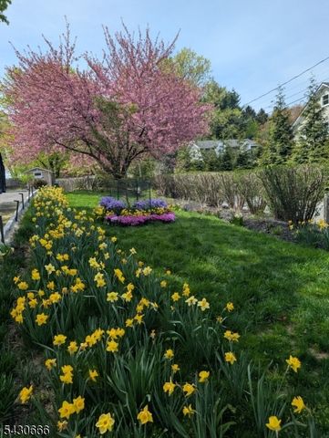 4 Hillcrest Ave, Mendham Boro, NJ 07945