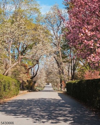 4 Hillcrest Ave, Mendham Boro, NJ 07945