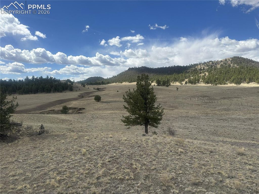 L 15 & 16 Chickadee Drive, Hartsel, CO 80449 — photo 4