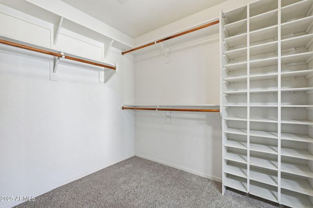 1619 E CARTER Road, Phoenix, AZ 85042