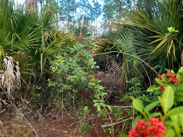 141 NAPLES AVENUE S, Lehigh Acres, FL 33974
