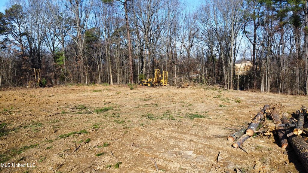 6131 Curbo Lane, Olive Branch, MS 38654 — photo 2