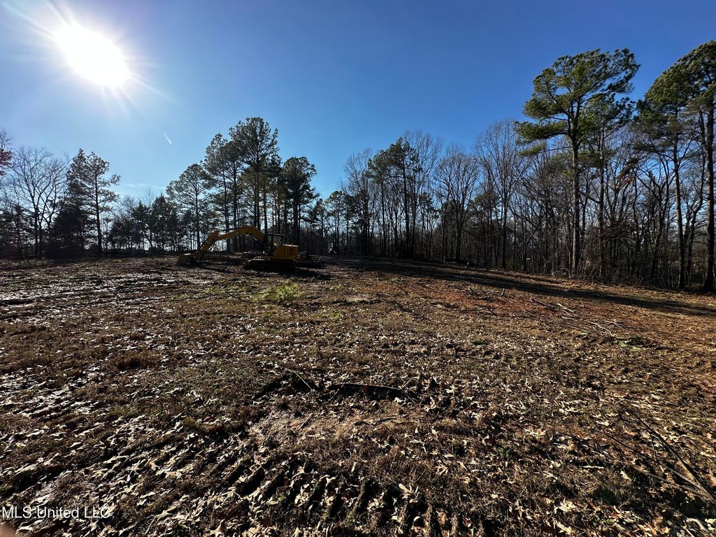 6131 Curbo Lane, Olive Branch, MS 38654 — photo 3