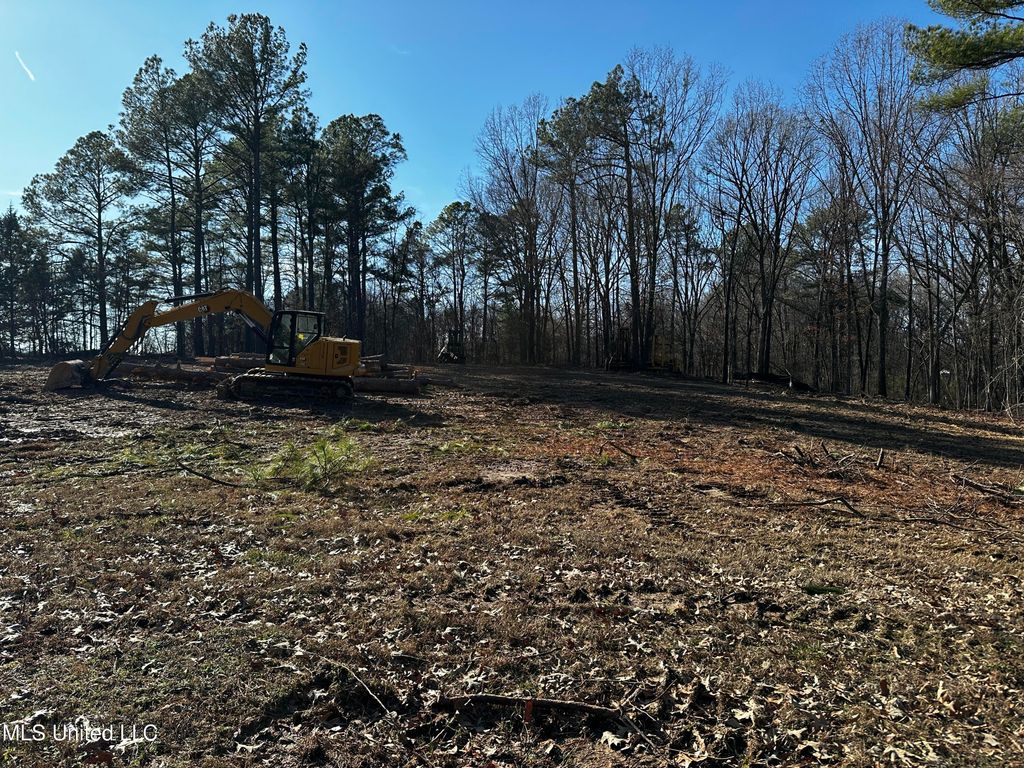 6131 Curbo Lane, Olive Branch, MS 38654 — photo 4
