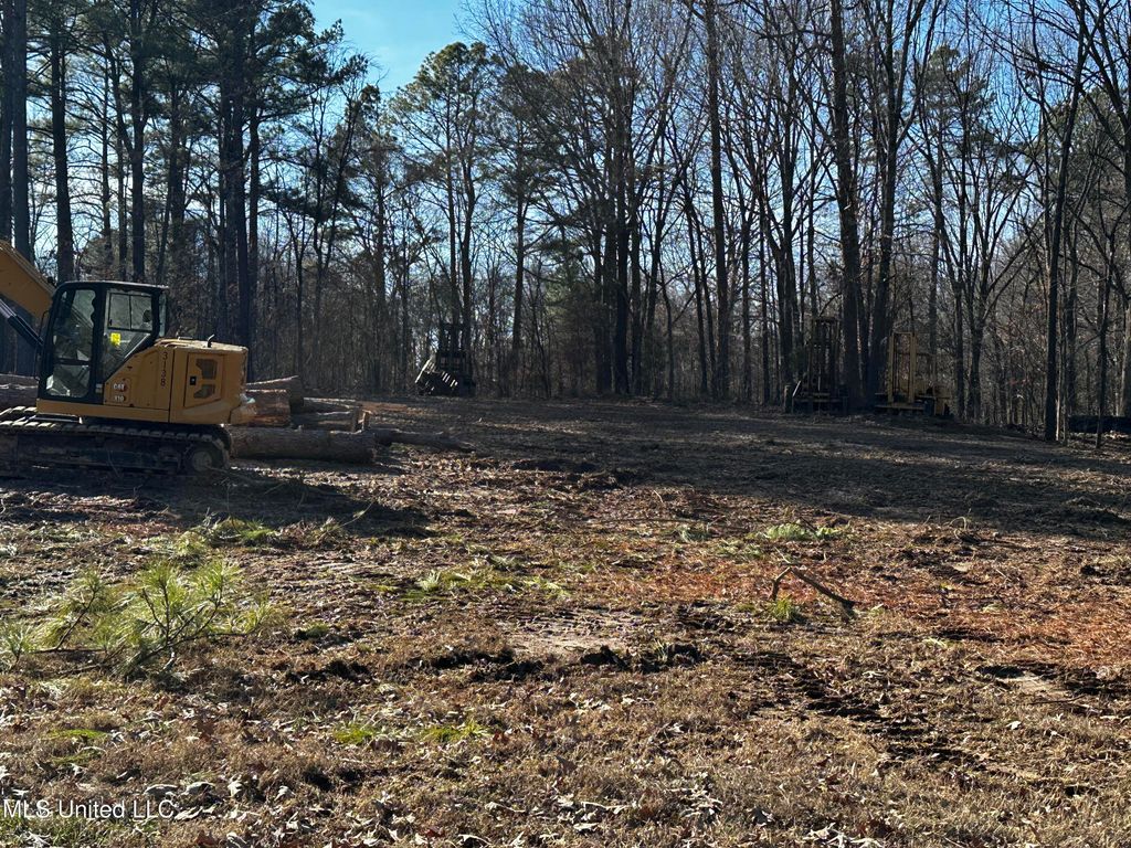 6131 Curbo Lane, Olive Branch, MS 38654 — photo 5