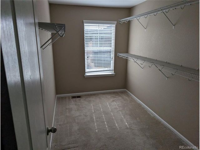 2633 Garganey Dr, Castle Rock, CO 80104