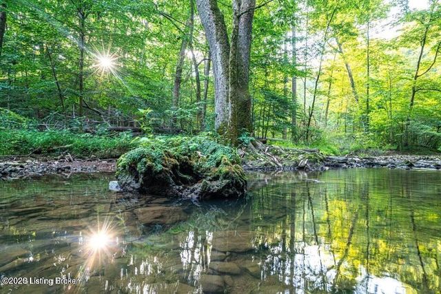 3601 Falls Bluff Ct, Louisville, KY 40241