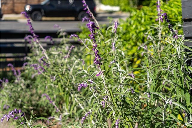 4762 E Mountain View Drive, San Diego, CA 92116