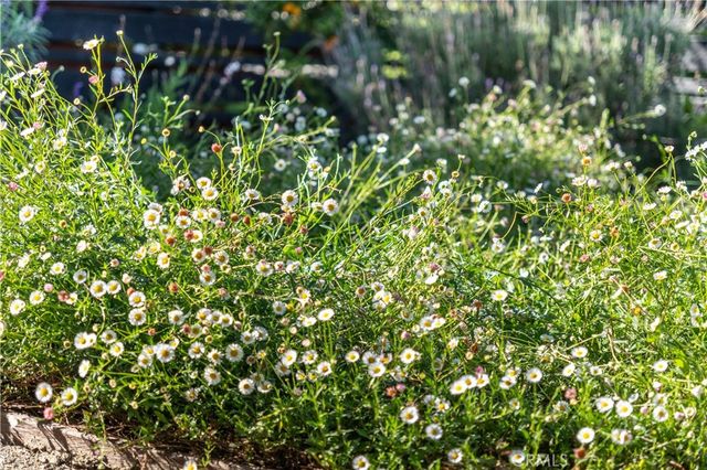 4762 E Mountain View Drive, San Diego, CA 92116