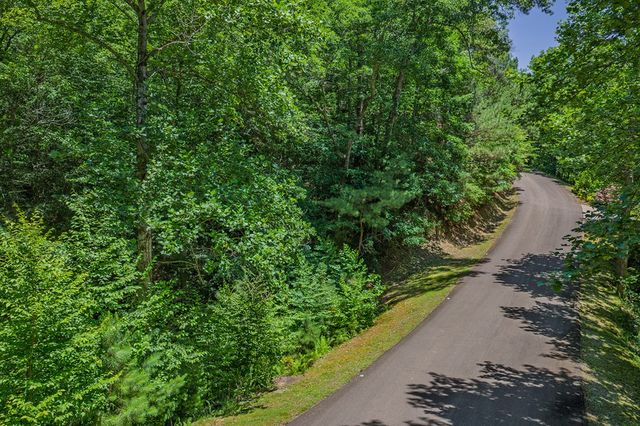 Lot 101R Mountain Creek Hollow Drive, Talking Rock, GA 30175