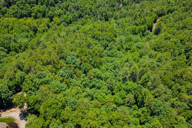 Lot 101R Mountain Creek Hollow Drive, Talking Rock, GA 30175