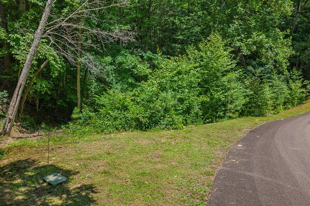 Lot 101R Mountain Creek Hollow Drive, Talking Rock, GA 30175